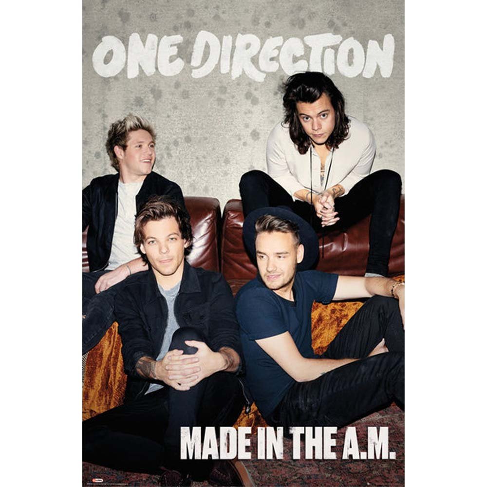 ONE DIRECTION ワンダイレクション (結成 15周年 ) - (絶版ポスター)Made In The A.M / ポスター - PGS